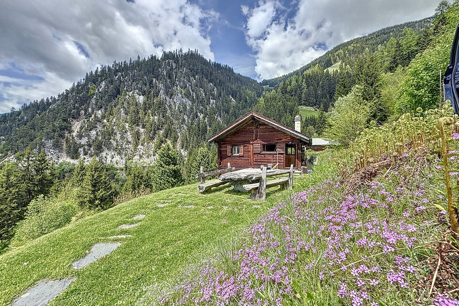 Le chalet vu depuis le bas du pré fleuri, sapins et versant boisé en arrière-plan.
