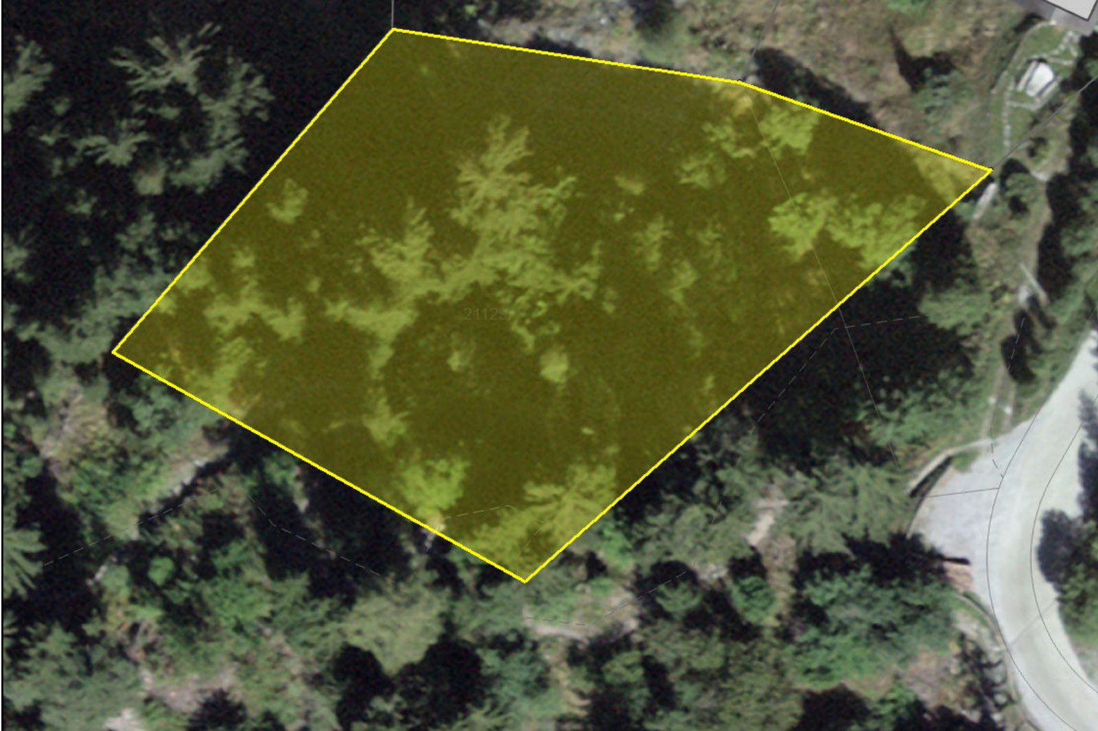 Plan de situation communal : la parcelle forestière n° 21125 surlignée en jaune, en contrebas du chalet.